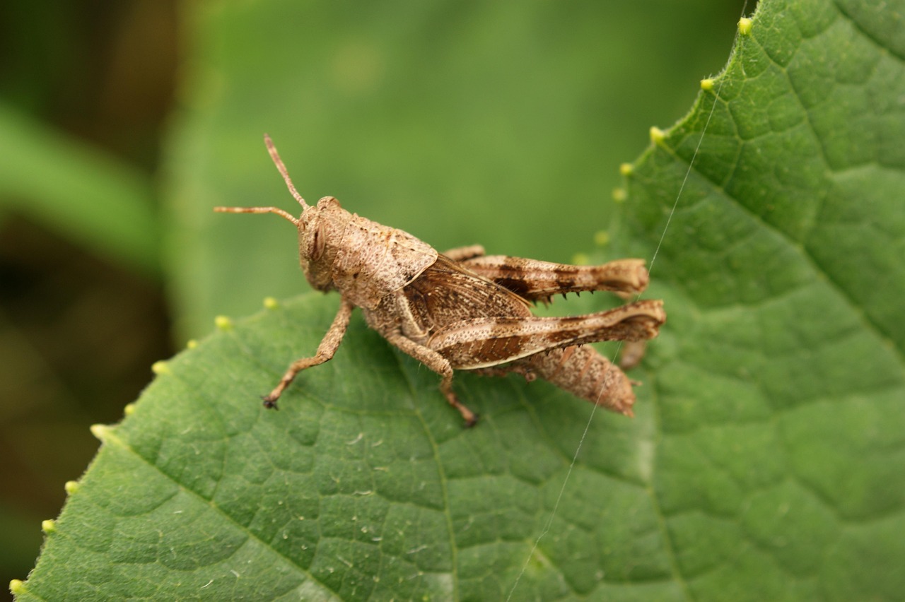 Curso 16. Exposición del sensor fotográfico.